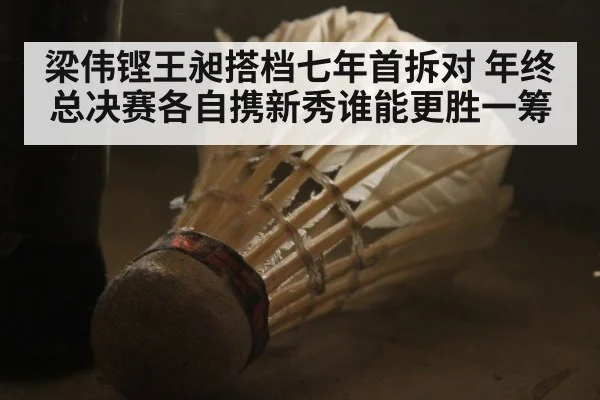 梁伟铿王昶搭档七年首拆对 年终总决赛各自携新秀谁能更胜一筹