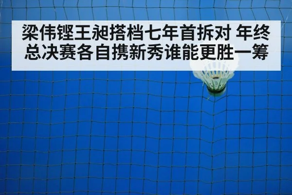 badminton net play
